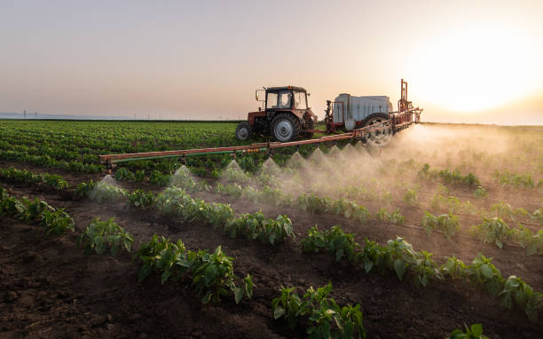 Best Wildlife Control Services  in Grant, NE